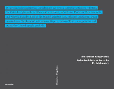 Die schönen Kriegerinnen book cover